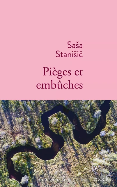 Pièges et embûches - Sasa Stanisic - Stock