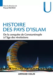 Histoire des pays d'Islam