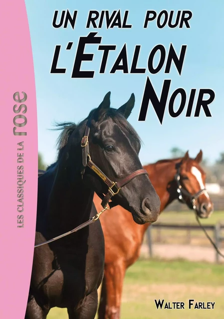 L'Etalon Noir 14 - un rival pour l'Etalon Noir - Walter Farley - Hachette Jeunesse