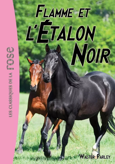 L'Étalon Noir 17 - Flamme et l'Étalon Noir - Walter Farley - Hachette Jeunesse