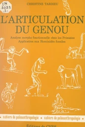 L'articulation du genou