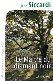 Le Maître du diamant noir