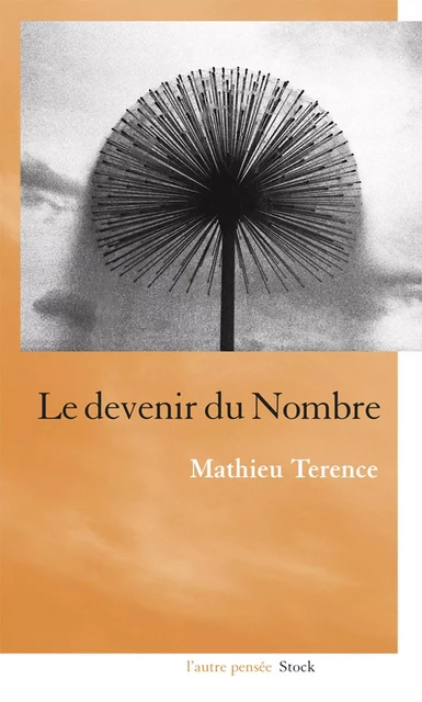 Le devenir du nombre - Mathieu Terence - Stock