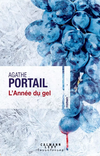 L'année du gel - Agathe Portail - Calmann-Lévy