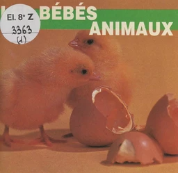 Les bébés animaux