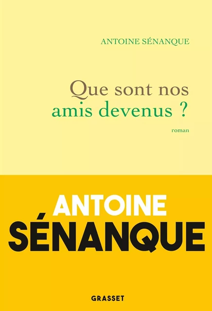 Que sont nos amis devenus ? - Antoine Sénanque - Grasset