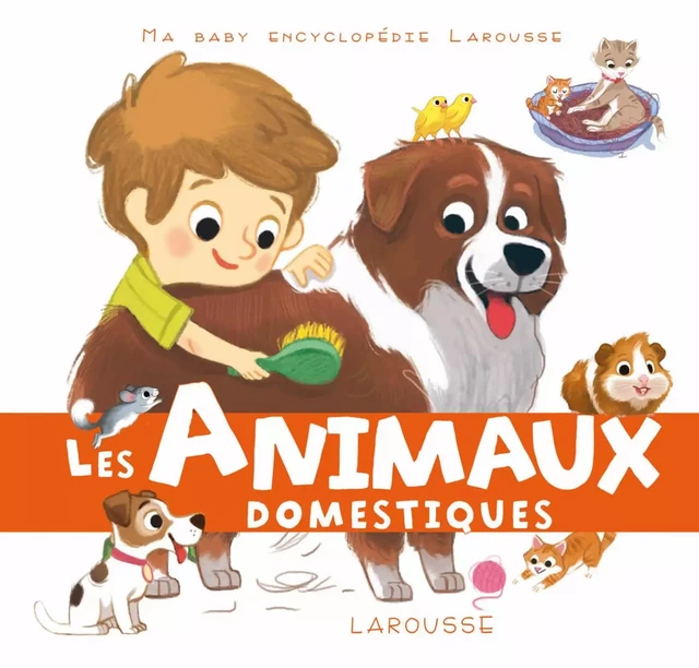 Les animaux domestiques - Sandra Lebrun - Larousse