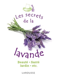 Les secrets de la lavande