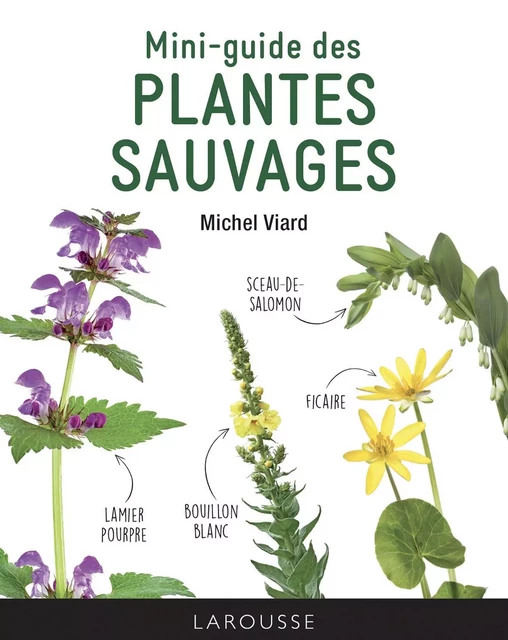 Mini-guide des plantes sauvages - Michel Viard - Larousse