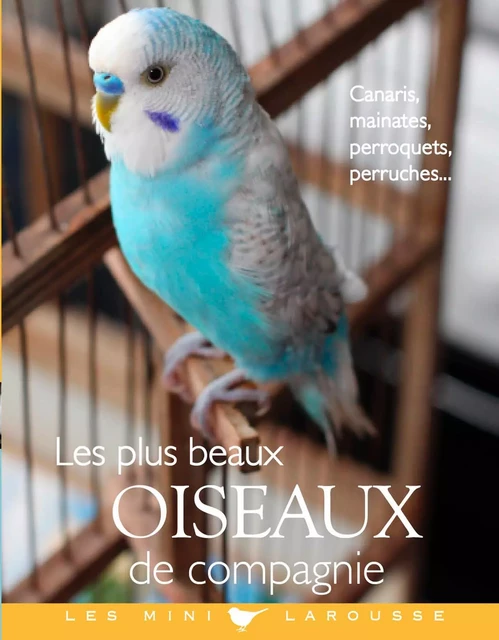 Les plus beaux oiseaux de compagnie - Brigitte Bulard-Cordeau - Larousse