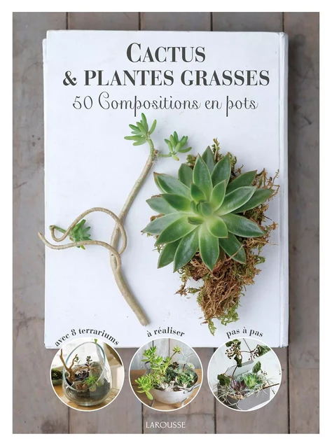 Cactus et plantes grasses -  Collectif - Larousse