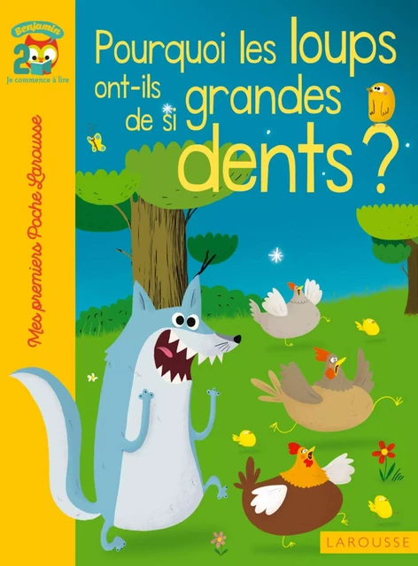 Pourquoi les loups ont-ils de si grandes dents - Agnès de Lestrade - Larousse