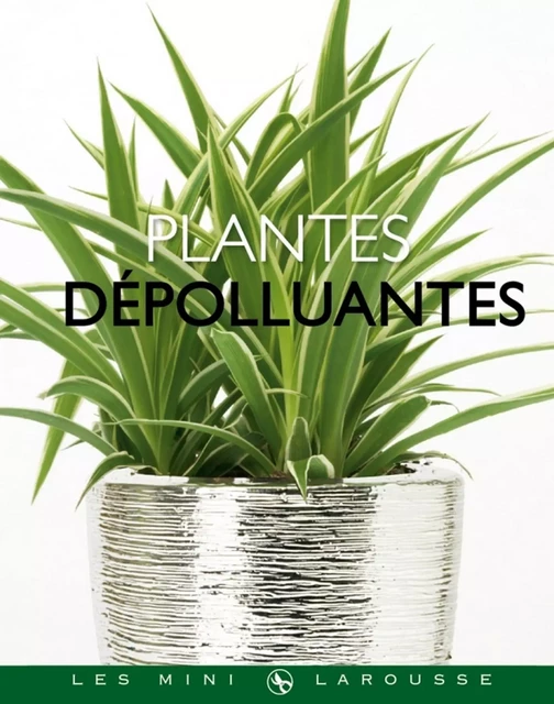 Plantes dépolluantes - Bénédicte Boudassou - Larousse