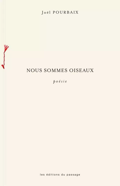 Nous sommes oiseaux - Joël Pourbaix - Du Passage