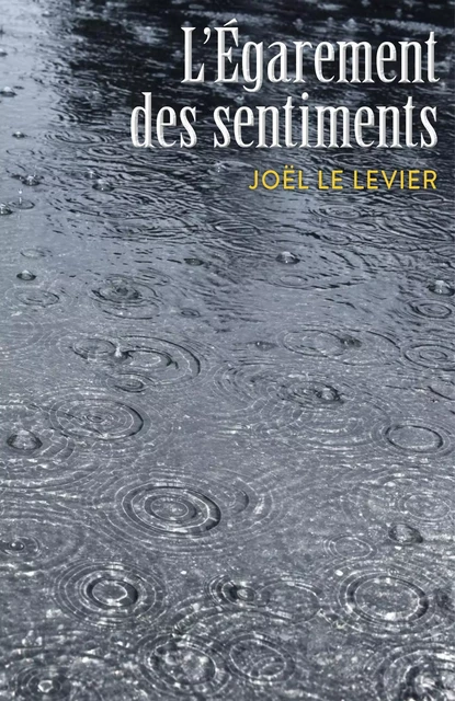 L'Égarement des sentiments - Joël Le Levier - Librinova