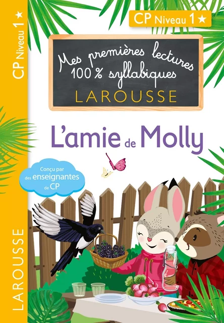 Mes premières lectures 100 % syllabiques L'ami de Molly - Hélène Heffner, Cécilia Stenmark, Giulia Levallois - Larousse