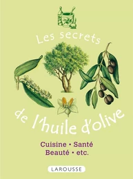 Les secrets de l'huile d'olive