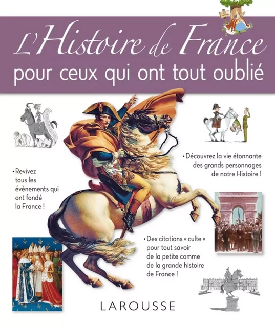 L'Histoire de France pour ceux qui ont tout oublié -  Collectif - Larousse