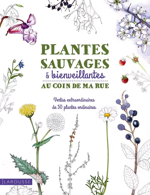 Plantes sauvages &amp; bienveillantes au coin de ma rue - Adèle Nozeda - Larousse