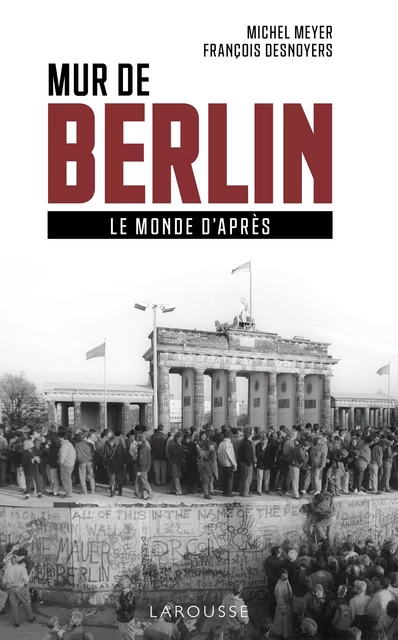 Mur de Berlin, le monde d'après - Michel Meyer - Larousse