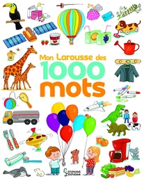 Le Larousse des 1 000 mots NE