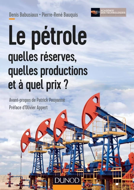 Le pétrole : quelles réserves, quelles productions et à quel prix ? - Denis Babusiaux, Pierre-René Bauquis - Dunod