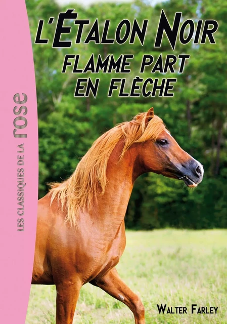 L'Etalon Noir 12 - Flamme part en flèche - Walter Farley - Hachette Jeunesse