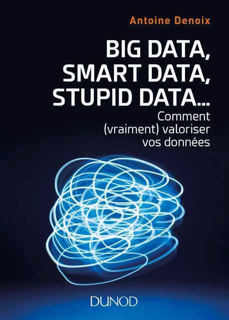 Big Data, Smart Data, Stupid Data... - Antoine Denoix - Dunod