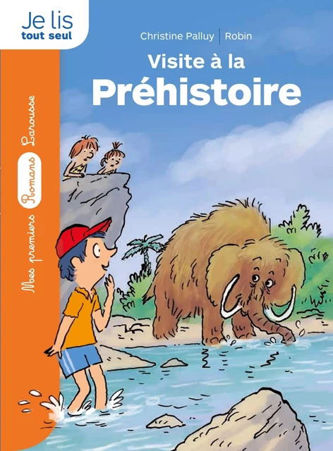 La pierre du temps : Visite à la préhistoire - Christine Palluy - Larousse