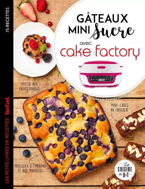 Gâteaux mini sucre avec Cake Factory - Juliette Lalbaltry - Dessain et Tolra