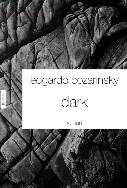 Dark - Edgardo Cozarinsky - Grasset