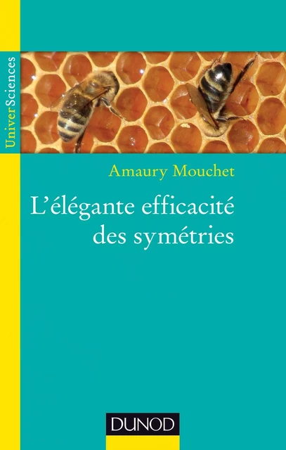 L'élégante efficacité des symétries - Amaury Mouchet - Dunod