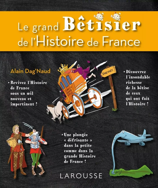 Le grand bêtisier de l'Histoire de France - Alain Dag'Naud - Larousse