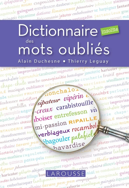 Dictionnaire insolite des mots oubliés - Thierry Leguay, Alain Duchesne - Larousse