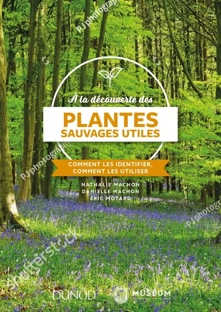 À la découverte des plantes sauvages utiles - Nathalie Machon, Eric Motard - Dunod