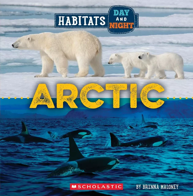 Arctic (Wild World: Habitats Day and Night) - Brenna Maloney - Scholastic Inc.