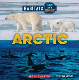 Arctic (Wild World: Habitats Day and Night)