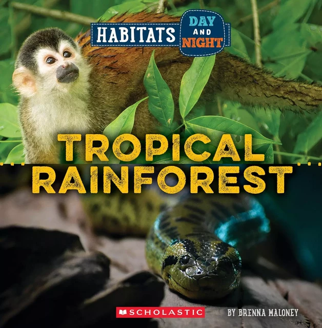 Tropical Rainforest (Wild World: Habitats Day and Night) - Brenna Maloney - Scholastic Inc.