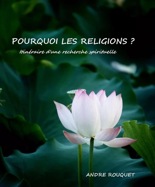 Pourquoi les religions ? - André Rouquet - Librinova