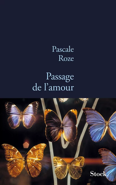 Passage de l'amour - Pascale Roze - Stock