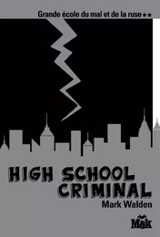 High School Criminal