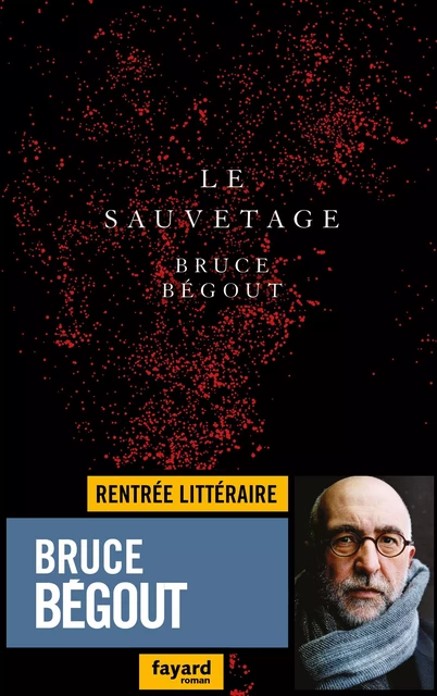 Le sauvetage - Bruce Bégout - Fayard