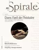 Spirale. No. 251, Hiver 2015 - Shannon Walsh, Pierre Popovic, Vincent Lavoie, Éric Benoit, DOMINIQUE GARAND, Mélissa Thériault, Elsa Laflamme, Ginette Michaud, Hugo Beauchemin-Lachapelle, Marcel Olscamp, Daniel Laforest, Martin Hervé, François Jardon-Gomez, Hervé Guay, GABRIEL TREMBLAY-GAUDETTE, Marie-Paule Grimaldi, Claudine Vachon, Alexis Lussier, Guylaine Massoutre, Manon Plante, Georges Leroux, Sylvano Santini, Julien Lefort-Favreau, Pierre Lavaud, Katrie Chagnon, Isabelle Décarie - Spirale magazine culturel inc.