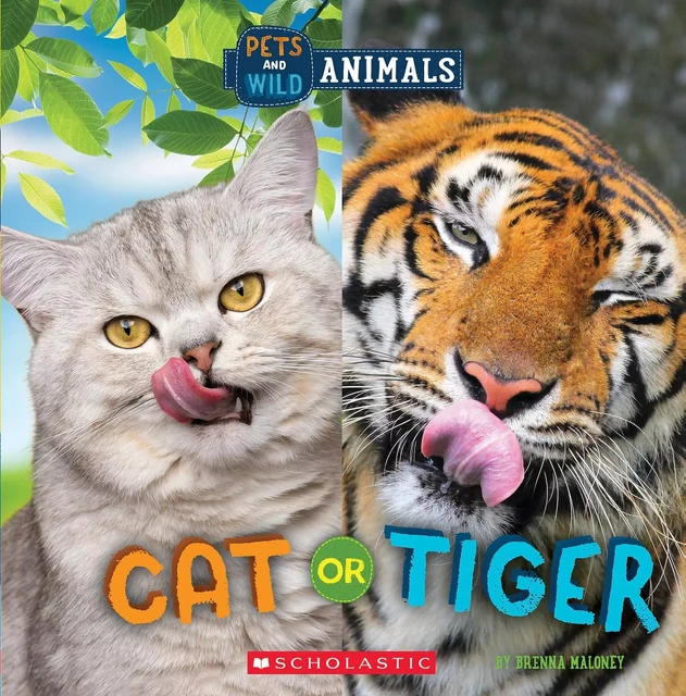 Cat or Tiger (Wild World: Pets and Wild Animals) - Brenna Maloney - Scholastic Inc.