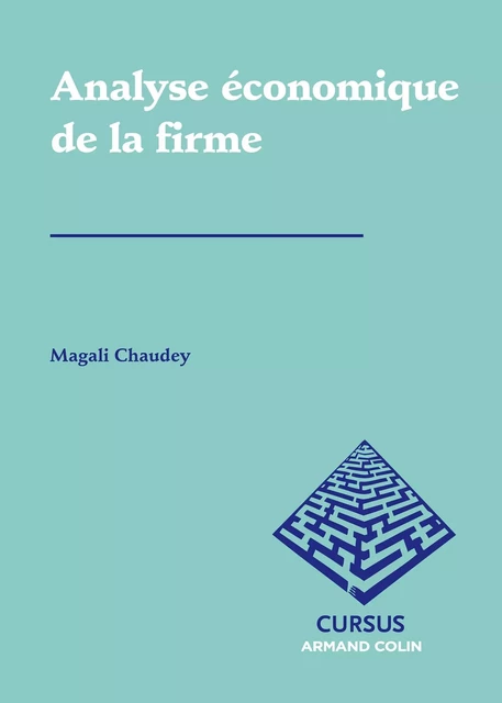 Analyse économique de la firme - Magali Chaudey - Armand Colin