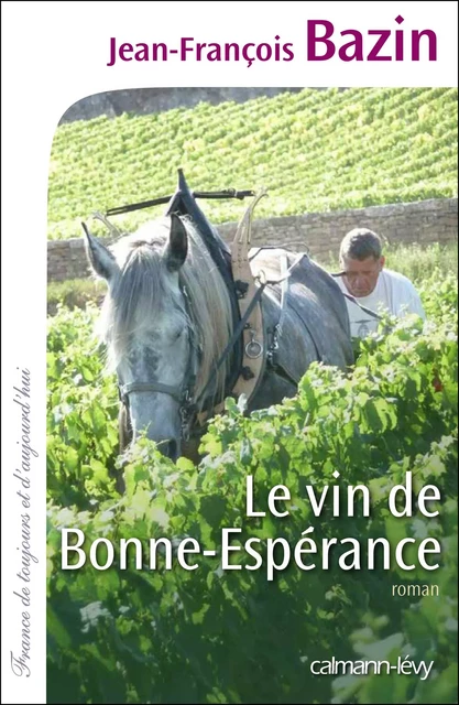 Le Vin de bonne espérance - Jean-François Bazin - Calmann-Lévy