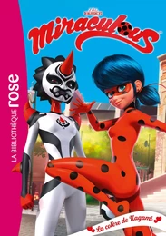 Miraculous 22 - La colère de Kagami