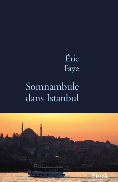 Somnambule dans Istanbul - Éric Faye - Stock