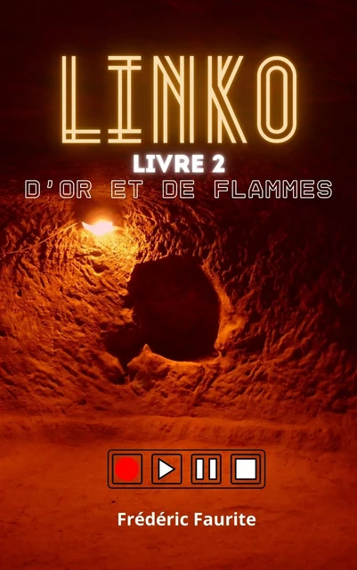 Linko – Livre 2 - Frédéric Faurite - Librinova