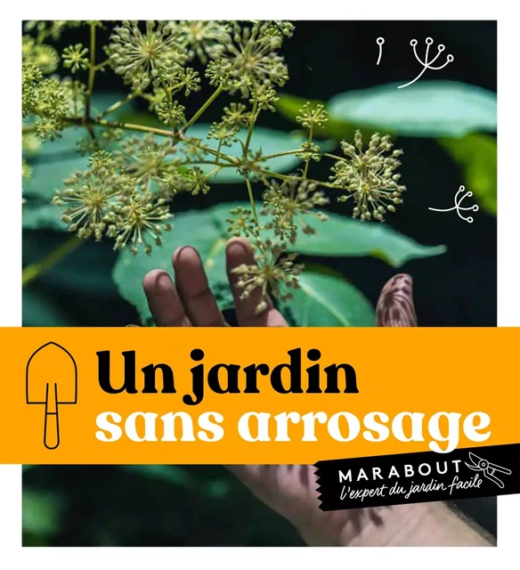 Un jardin sans arrosage -  Collectif - Marabout